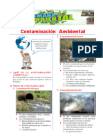 Contaminación Ambiental