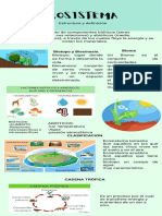 Infografía Del Ecosistema