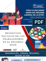 Beneficios Sociales en El Regimen Mype