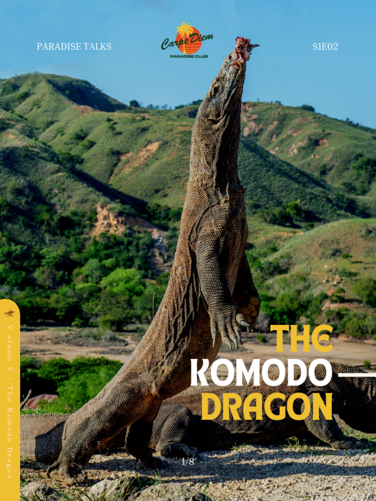 Vol. 2 Komodo Dragons | PDF | Komodo Dragon | Vertebrates
