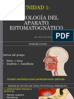 Cap .1 Sistema Estomatognatico