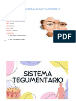 Sistema Tegumentario