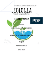 Proyecto de Hidroponia