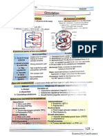 Physiology of Vascular