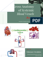 ? 4) Gross Anatomy of systemic blood vessels Arteries-4ข้อ