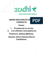 Potencial en Accion