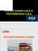 Konsep Dasar Luka