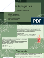 Anatomia Topografica 2