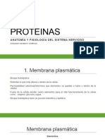 PROTEINAS