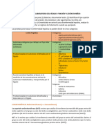 Evaluación de Laboratorio Del Hígado