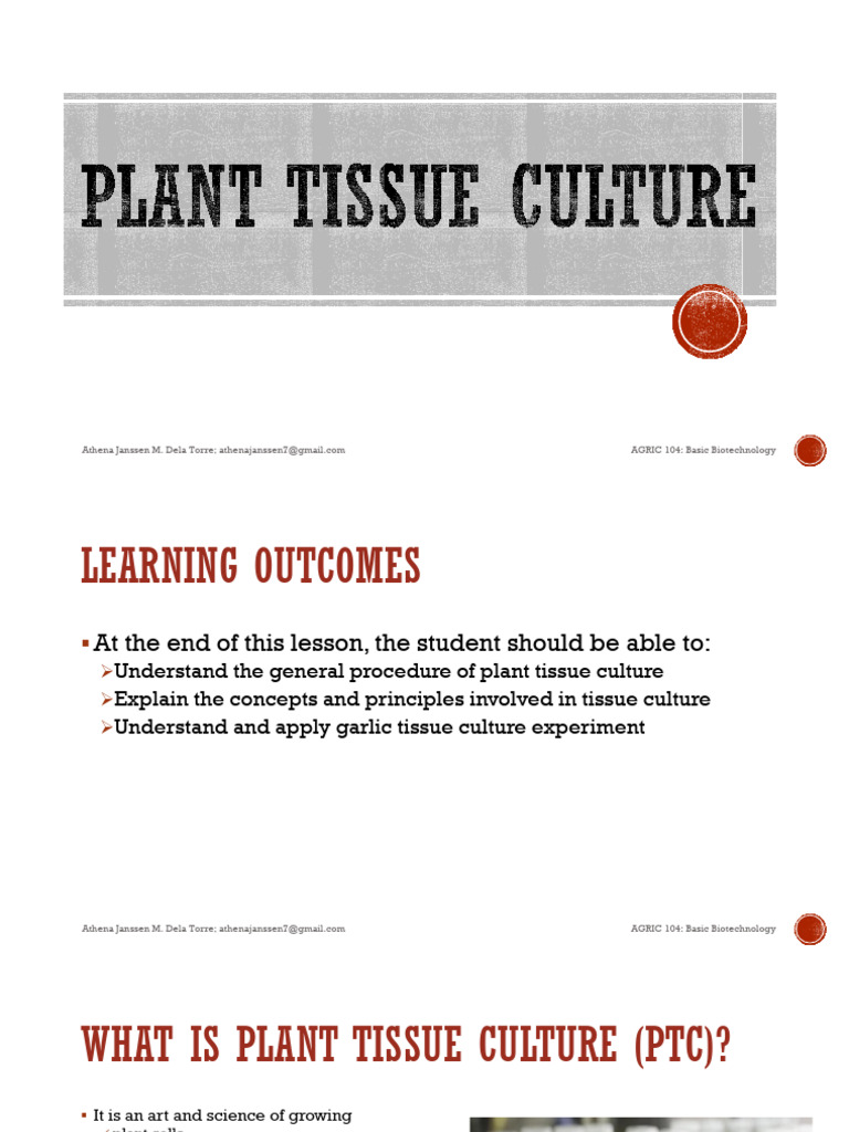 Plant Tissue Culture | Download Free PDF | Embryo | Cell Potency