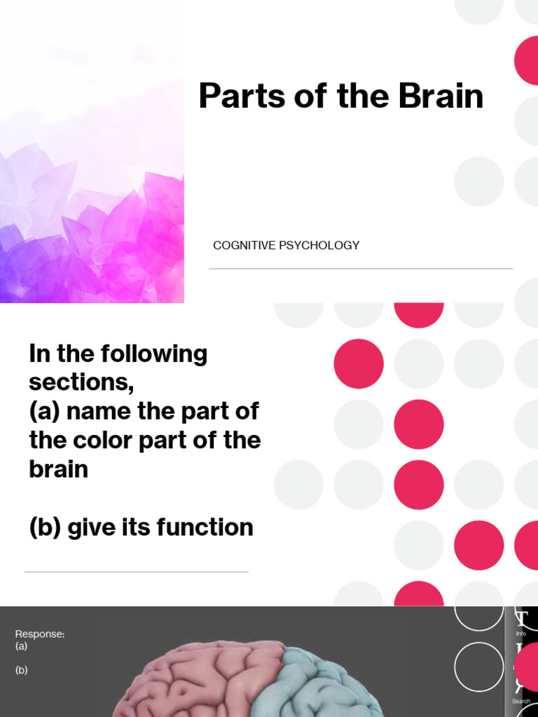 parts of the brain | PDF