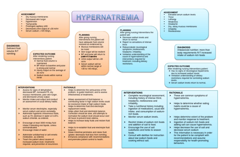 Nursing Care Plan for a Patient with Dehydration due to Vomiting | PDF ...