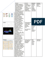 Biomoléculas