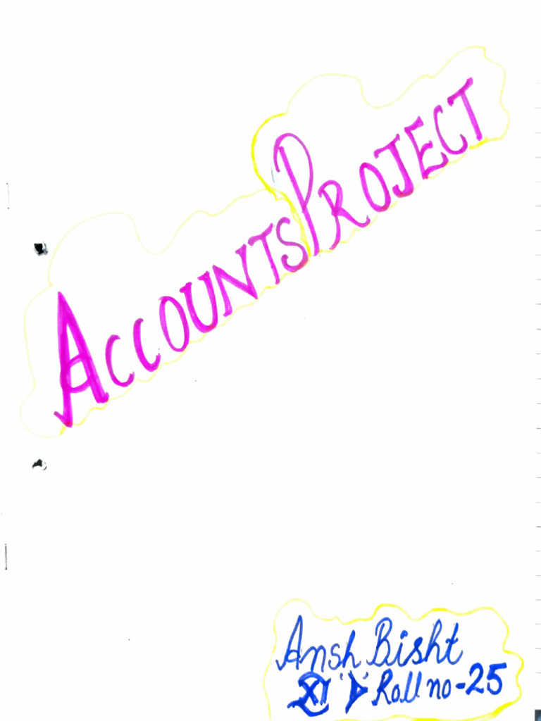 Accountancy Project Work | PDF