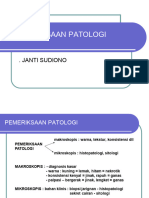 Pemeriksaan Patolog