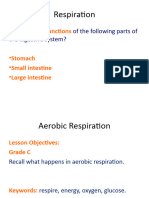 L6 8ca Respiration AAF