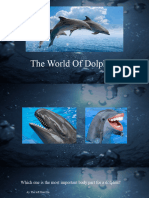 PowerPoint Karaoke Dolphins - en