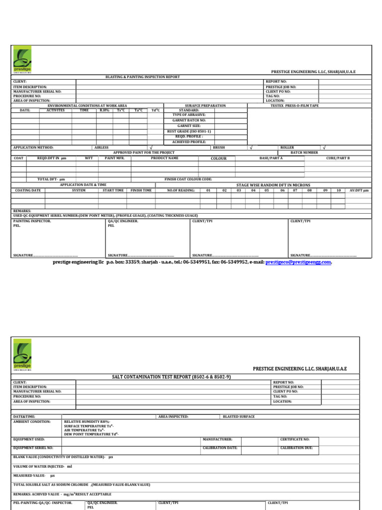 Blasting and Salt Test Report | PDF | Physical Sciences | Chemistry