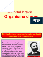 Organisme Diurne