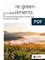 White Paper Future Green Investments Beyond Renewables