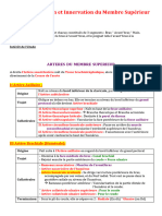 11 - Vscularisation Et Innervation Du MS