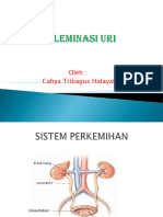 Eleminasi Uri - Cahya