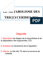 Metabolisme Des TG