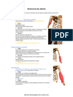 Wuolah-Free-Tema 21 Anatomia - PDF