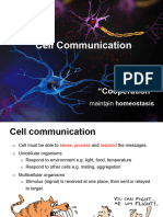 6-Cell Communication