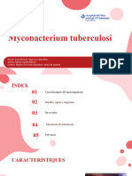 Mycobacterium Tuberculosi