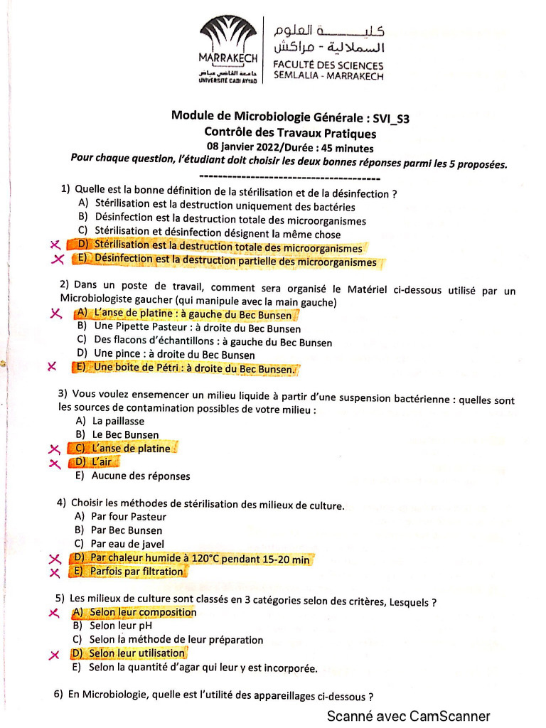 TP - Microbiologie | PDF