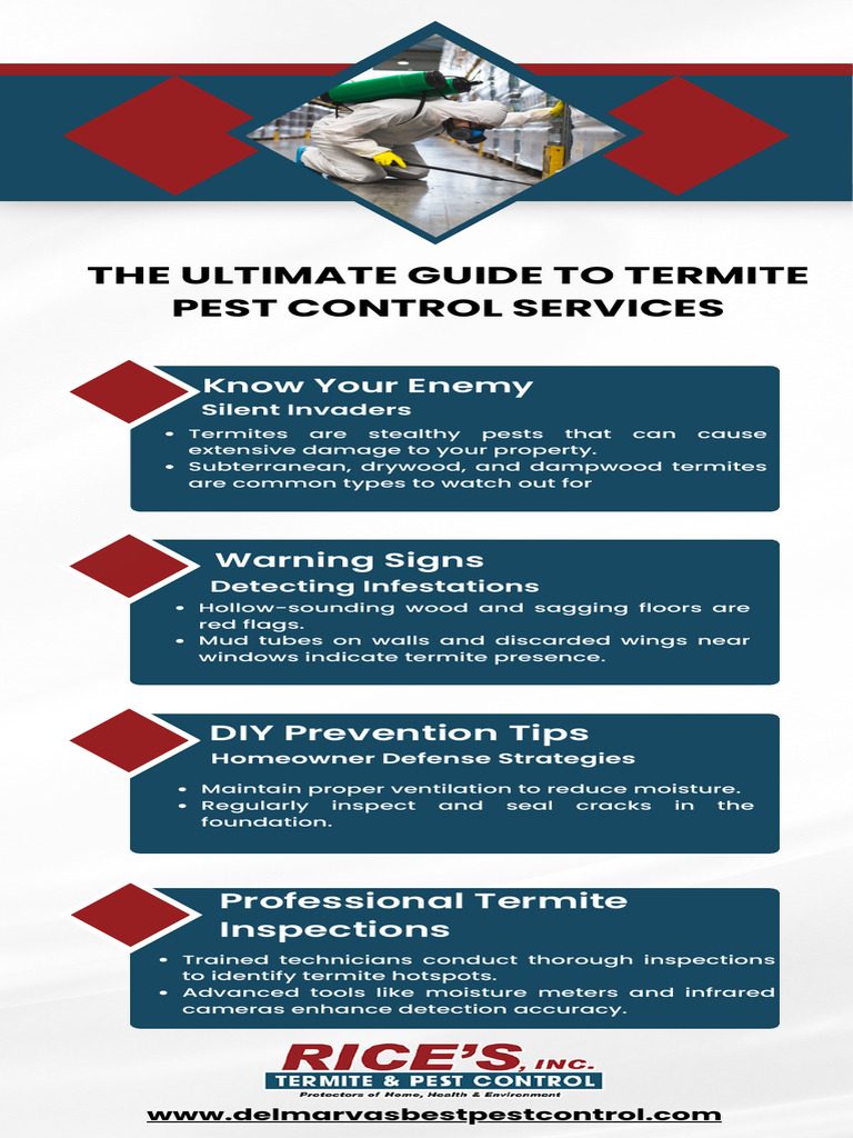Termite Control: Detection & Prevention Guide | PDF
