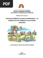 EDUCAÇÃO AMBIENTAL NA MATA DA MARGARAÇA