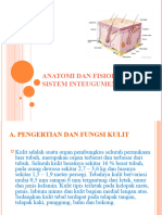 Anatomi Dan Fisiologi Kulit