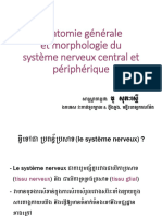 Anatomie Générale Et Morphologie Du SNC Et Périphérique3h 2