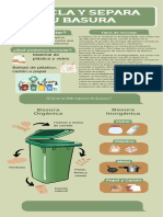 Infografía Reciclaje Ilustrado Verde