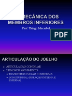 Biomecânica Dos Membros Inferiores Parte II