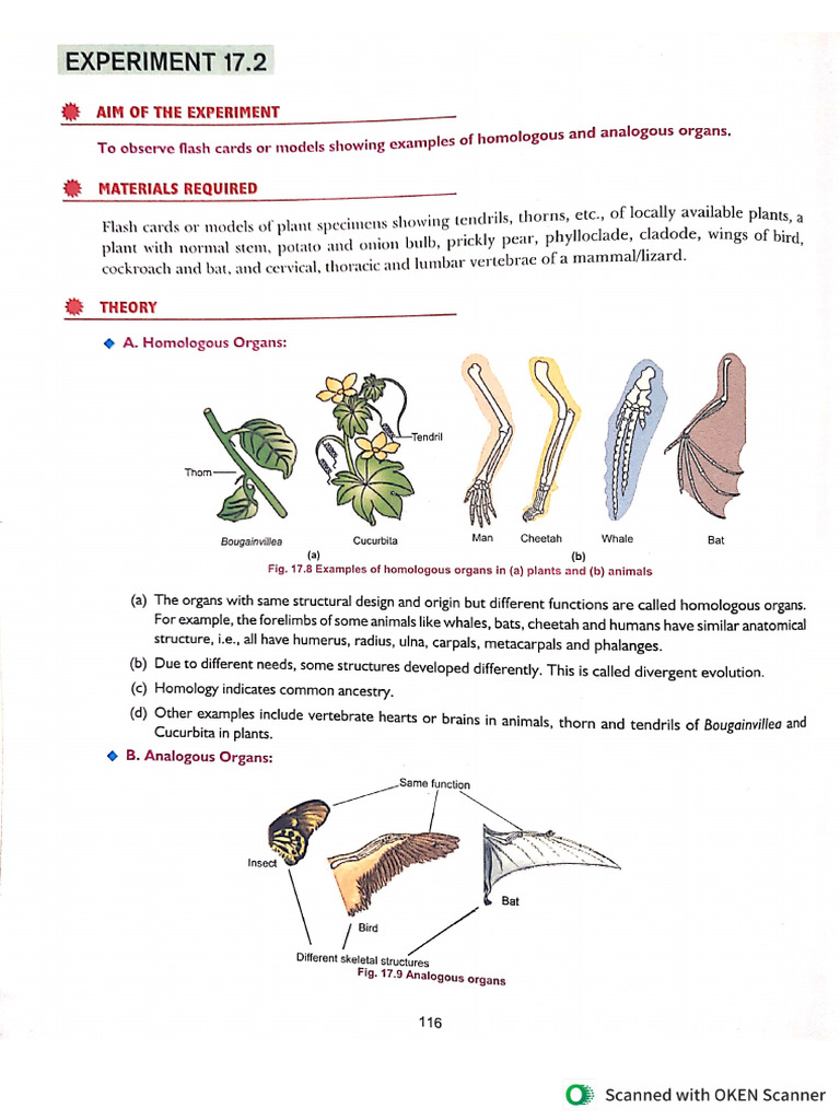 Biology Spotting 11 PDF
