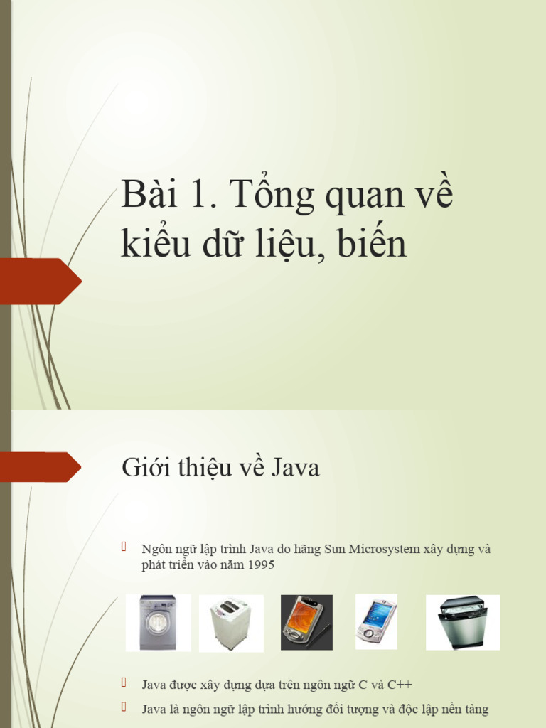 B i 1 tong quan kieu du lieu bien pdf