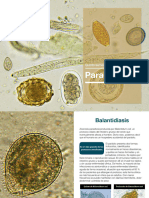 Parasitología