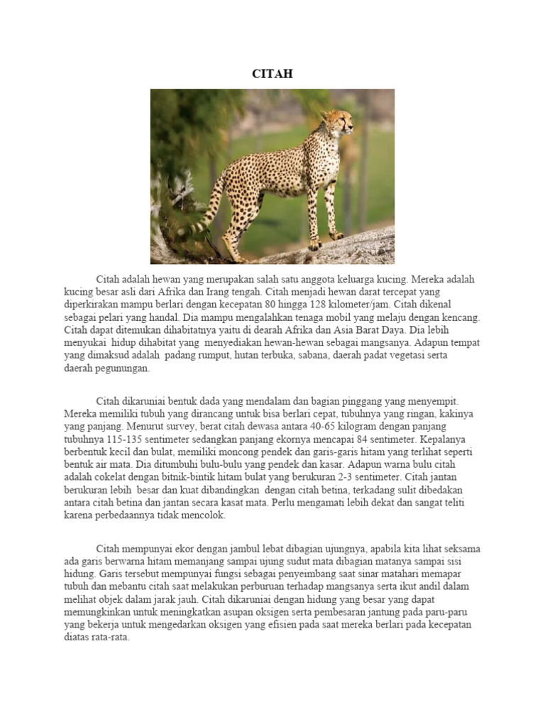 Ciri dan Habitat Citah di Afrika | PDF | Sains & Matematika | Agama ...
