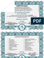 Certificate For Julio Souza - Perito Judicial