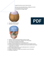 Estudo Dirigido de Anatomia Humana