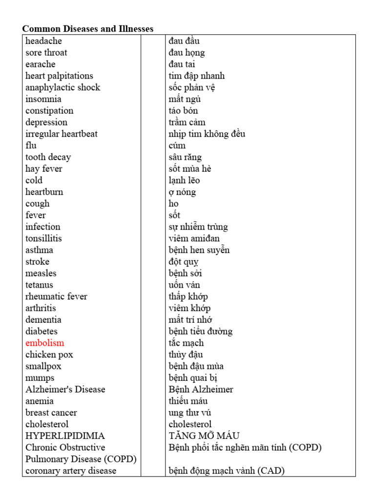 Common Diseases and Illnesses PDF