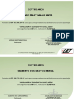Certificado Operador Guindauto Digital