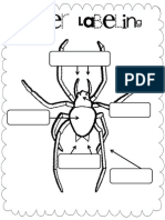 Spider Labeling