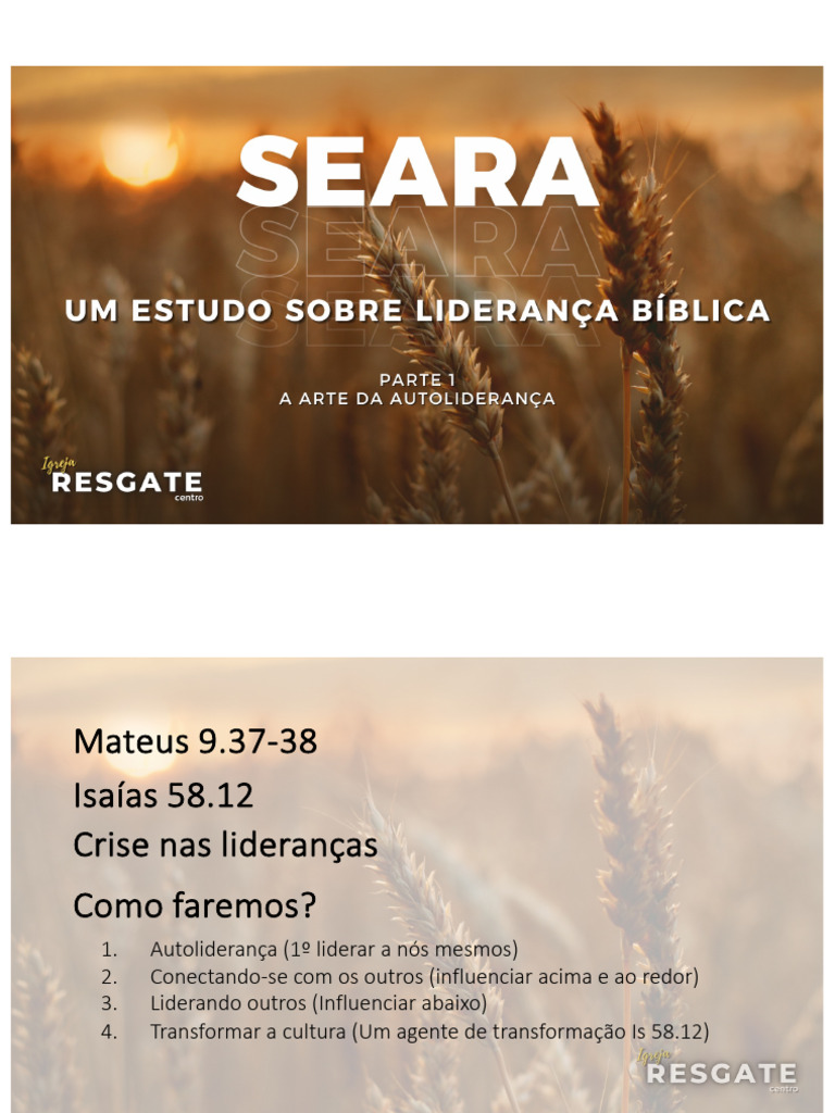 Aula 01 Seara | PDF | Liderança | Moralidade