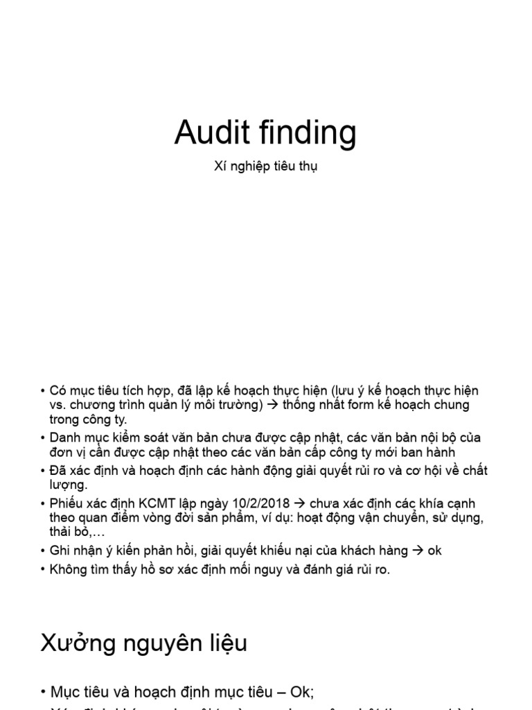Audit finding PDF