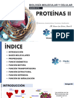 S03 - PROTEÍNAS II - Eduard Navarro